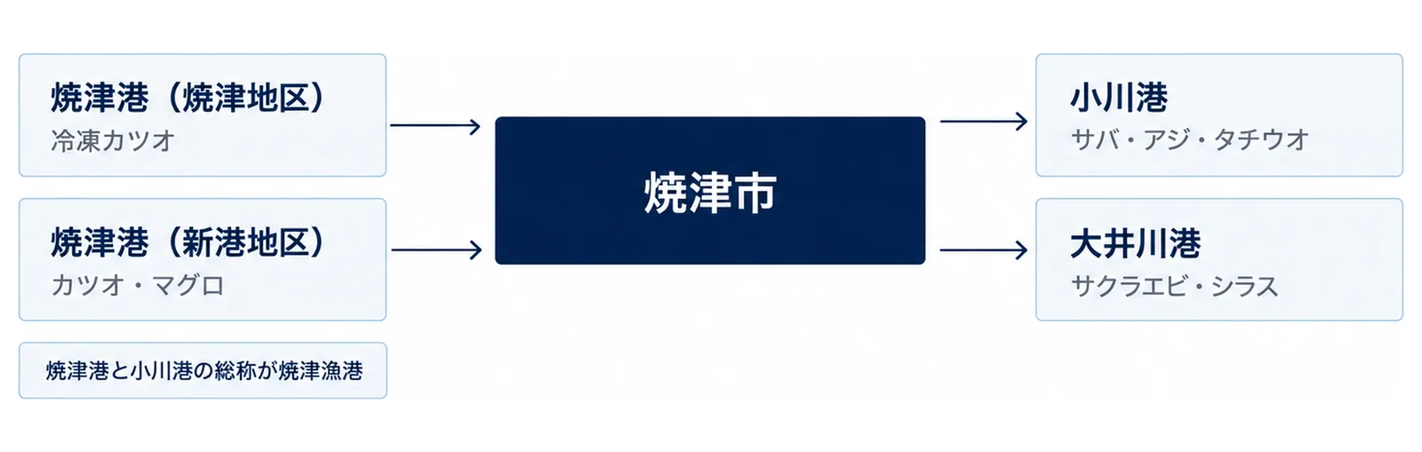 焼津市を中央に置き、焼津港の焼津地区と新港地区、小川港、大井川港の4つの箱を周りに配置してそれぞれの魚を示した図