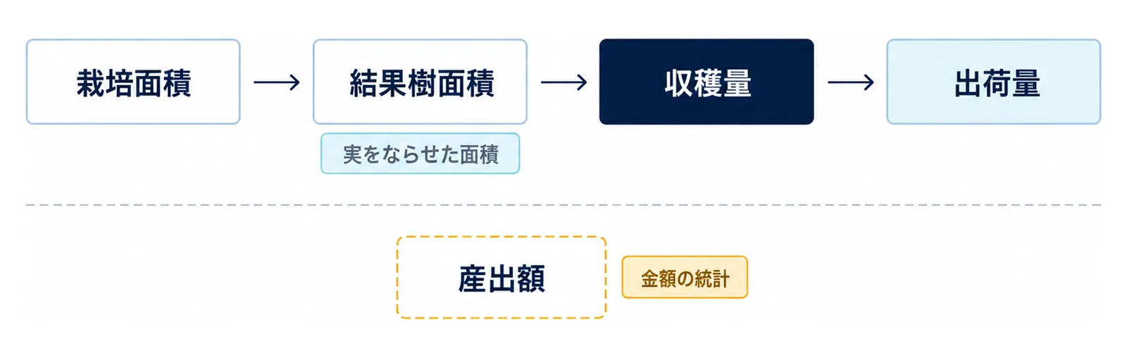 図: 栽培面積から結果樹面積（実をならせた面積）、収穫量、出荷量へ。産出額は別の金額の統計