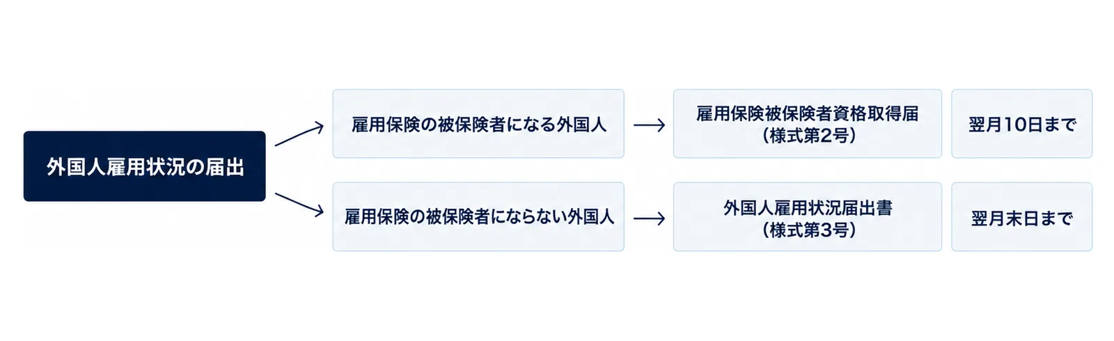 図: 左の分かれ目「雇用保険の被保険者になる外国人」「雇用保険の被保険者にならない外国人」から、右の「雇用保険被保険者資格取得届（様式第2号）」と「翌月10日まで」、「外国人雇用状況届出書（様式第3号）」と「翌月末日まで」へ矢印